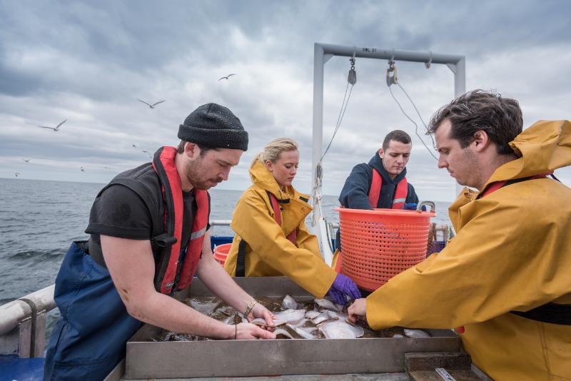 From Ocean to Table: How Abalone Goes from Farm to Your Plate